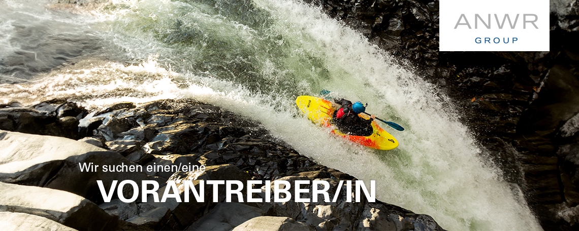 Controlling / Business Analyst m/w/d, 1. Bild